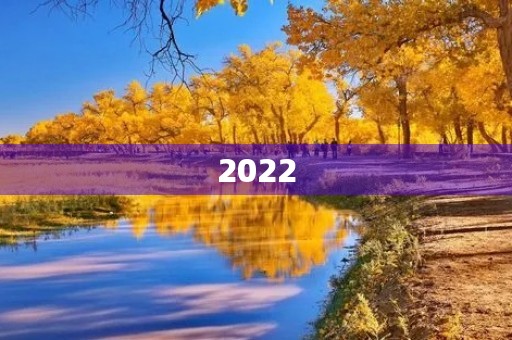 2022,我来了! 2022,我来了!