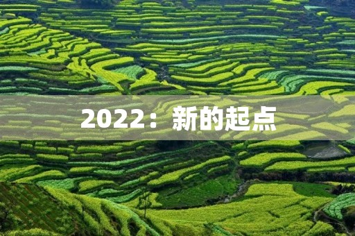 2022:新的起点,新的抗疫 2022:新的起点,新的抗疫