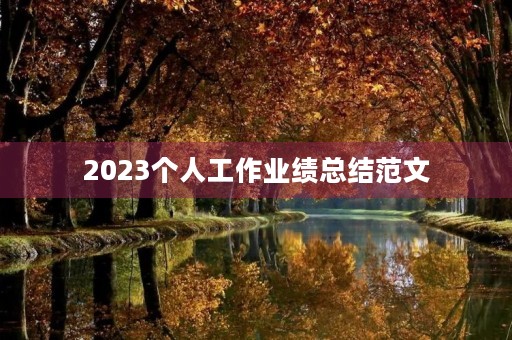 2023个人工作业绩总结范文