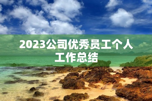 2023公司优秀员工个人工作总结