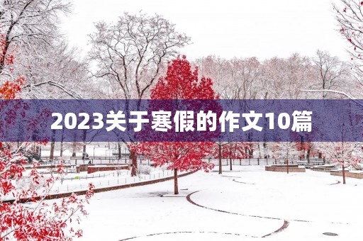 2023关于寒假的作文10篇