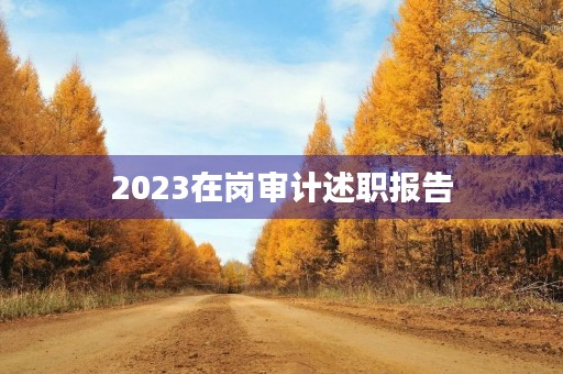 2023在岗审计述职报告