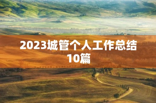 2023城管个人工作总结10篇