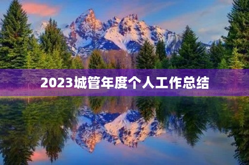 2023城管年度个人工作总结 2023城管年度个人工作总结