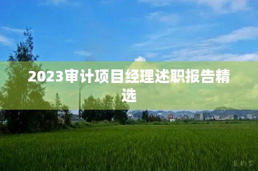 2023审计项目经理述职报告精选(10篇)