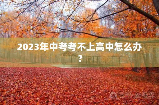 2023年中考考不上高中怎么办？