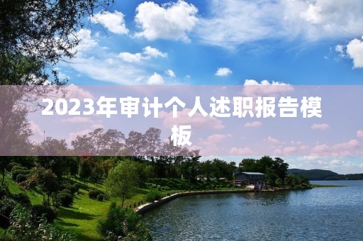 2023年审计个人述职报告模板（10篇）