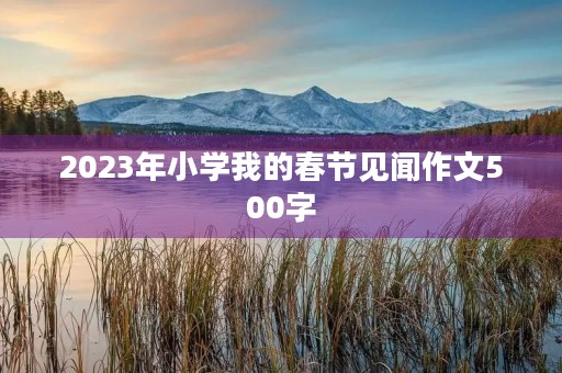 2023年小学我的春节见闻作文500字