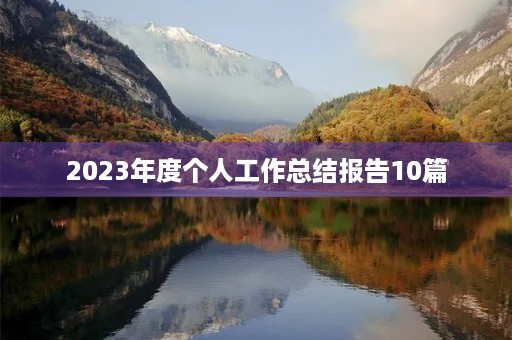 2023年度个人工作总结报告10篇