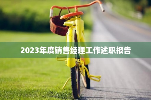 2023年度销售经理工作述职报告