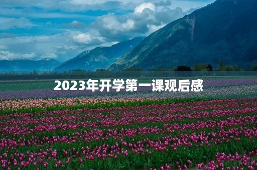 2023年开学第一课观后感 2023年开学第一课观后感