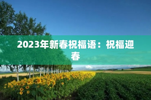 2023年新春祝福语：祝福迎春，喜迎新岁