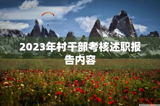 2023年村干部考核述职报告内容