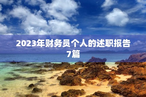 2023年财务员个人的述职报告7篇