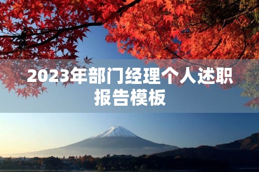 2023年部门经理个人述职报告模板（10篇）