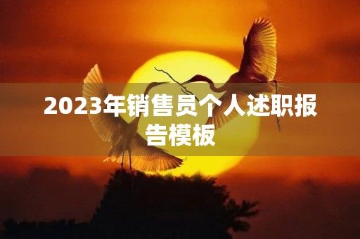 2023年销售员个人述职报告模板(10篇) 2023年销售员个人述职报告模板(10篇)
