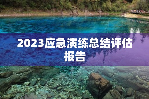 2023应急演练总结评估报告