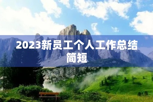 2023新员工个人工作总结简短