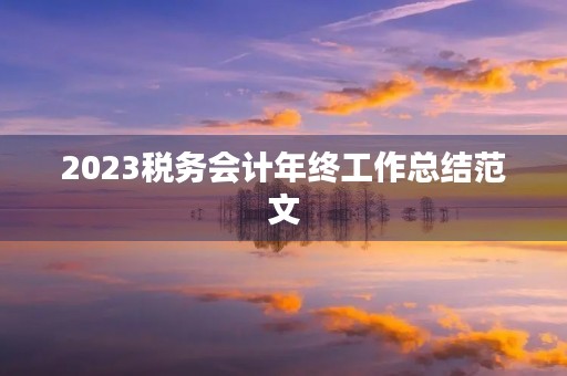 2023税务会计年终工作总结范文 2023税务会计年终工作总结范文