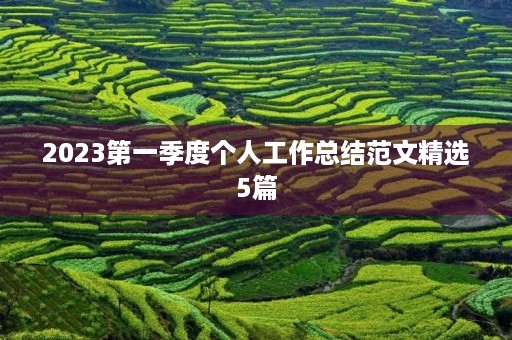 2023第一季度个人工作总结范文精选5篇
