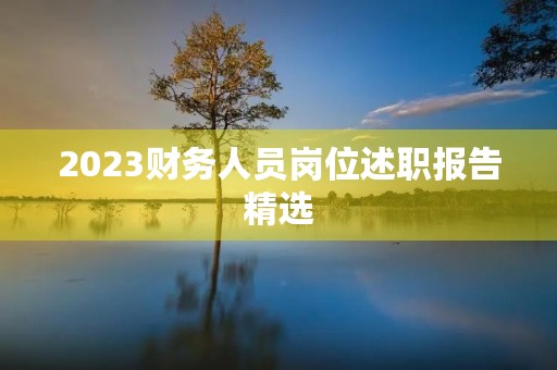 2023财务人员岗位述职报告精选