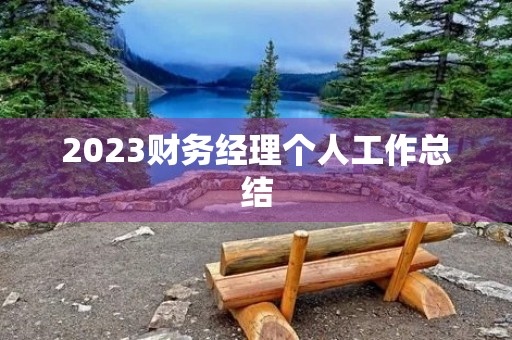 2023财务经理个人工作总结