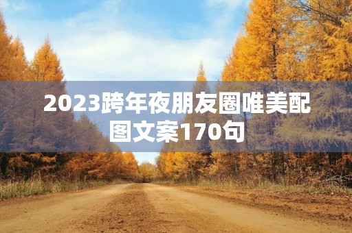 2023跨年夜朋友圈唯美配图文案170句 2023跨年夜朋友圈唯美配图文案170句