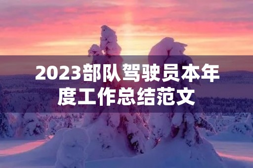 2023部队驾驶员本年度工作总结范文