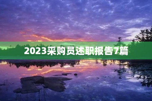 2023采购员述职报告7篇