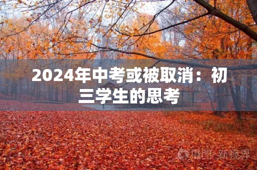 2024年中考或被取消：初三学生的思考