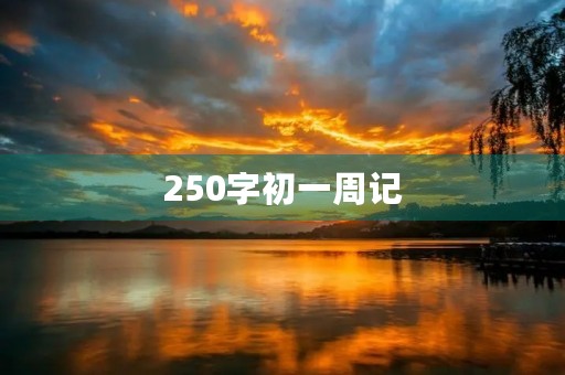 250字初一周记