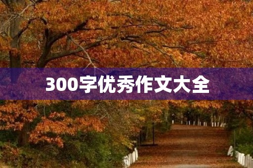 300字优秀作文大全 300字优秀作文大全