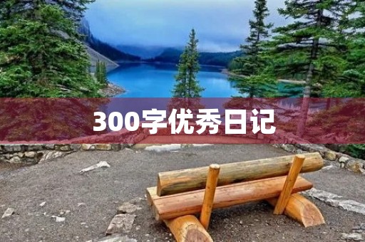300字优秀日记