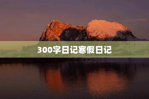 300字日记寒假日记