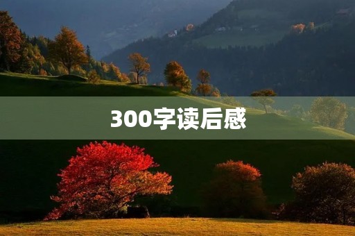 300字读后感 300字读后感