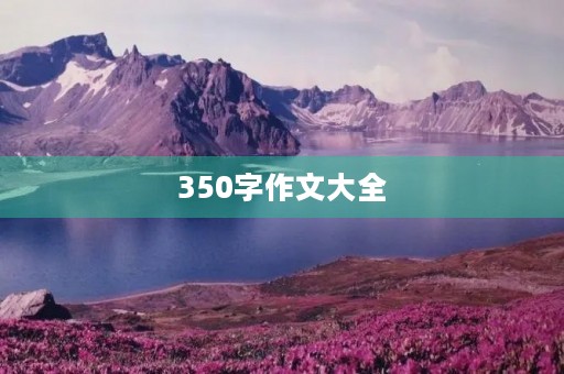 350字作文大全 350字作文大全