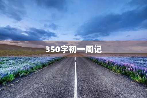 350字初一周记