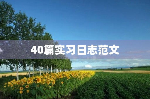 40篇实习日志范文，让你轻松记录实习点滴！
