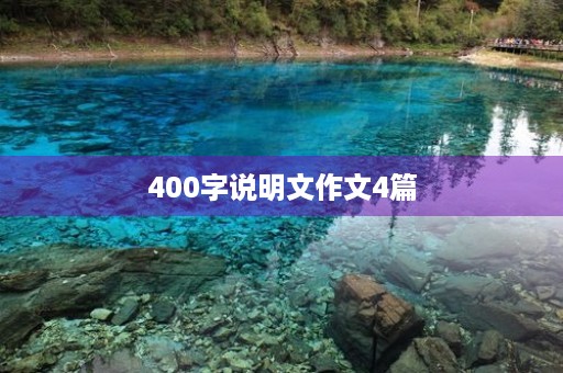 400字说明文作文4篇 400字说明文作文4篇