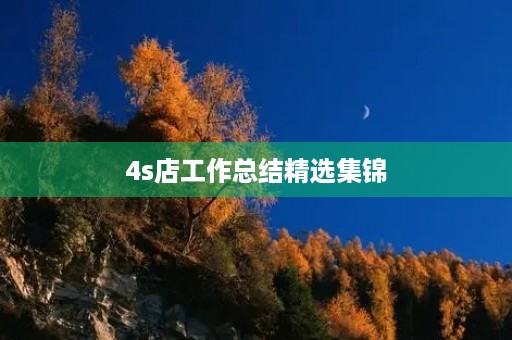 4s店工作总结精选集锦