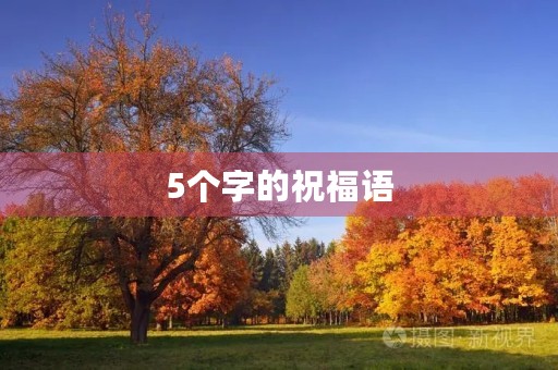 5个字的祝福语(祝福语句的意思)