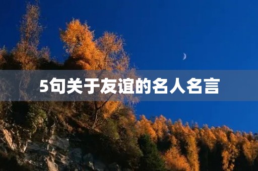 5句关于友谊的名人名言(5句关于友谊的名人名言(简短))