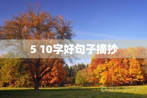 5 10字好句子摘抄,5~10字好句子 5 10字好句子摘抄,5~10字好句子