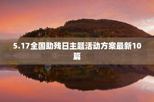 5.17全国助残日主题活动方案最新10篇