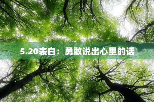 5.20表白：勇敢说出心里的话