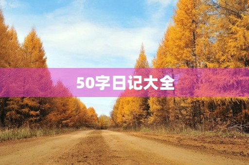 50字日记大全