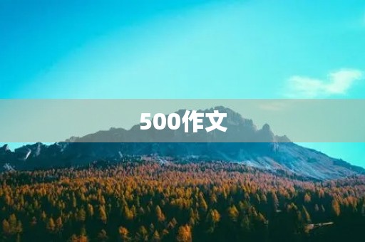 500作文