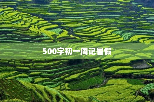 500字初一周记暑假 500字初一周记暑假