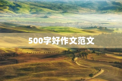 500字好作文范文