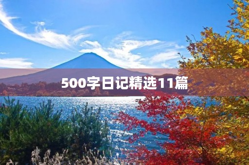 500字日记精选11篇